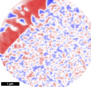 XPEEM image of the tetrataenite rim and cloudy zone. Blue and red correspond to positive and negative projections of the magnetisation onto the X-ray beam. 